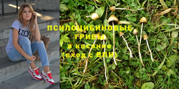 трава Богданович