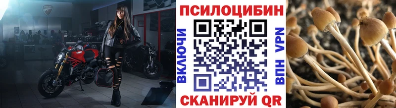 Псилоцибиновые грибы GOLDEN TEACHER Чкаловск